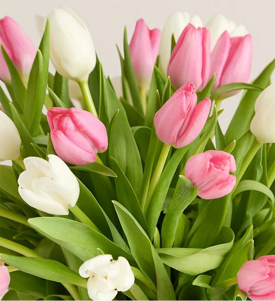 Sweet Spring Tulip Bouquet - Delivery Same Day Mother’s Day Nashville
