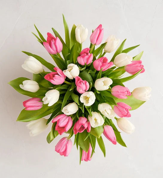 Sweet Spring Tulip Bouquet - Delivery Same Day Mother’s Day Nashville