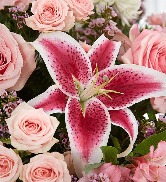 Pink Rose & Stargazer Lily Standing Spray