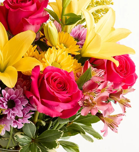 Fields of Europe Spring -Flowers Mother’s Day - Delivery Same Day  Nashville