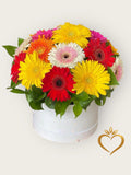 Colorful Gerbera Daisy Box - Rainbow Flower Arrangement Same Day Delivery Nashville
